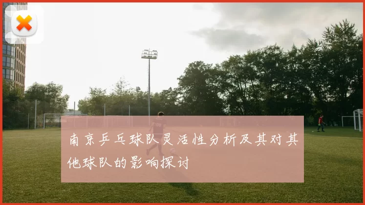 南京乒乓球队灵活性分析及其对其他球队的影响探讨