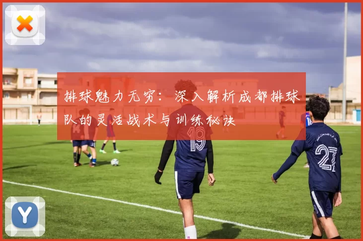 排球魅力无穷：深入解析成都排球队的灵活战术与训练秘诀
