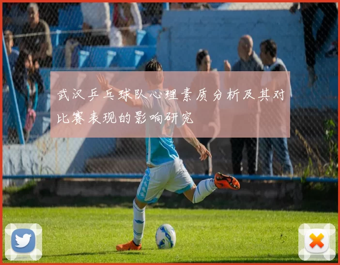 武汉乒乓球队心理素质分析及其对比赛表现的影响研究