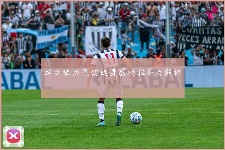 适合练力气的健身器材推荐与解析