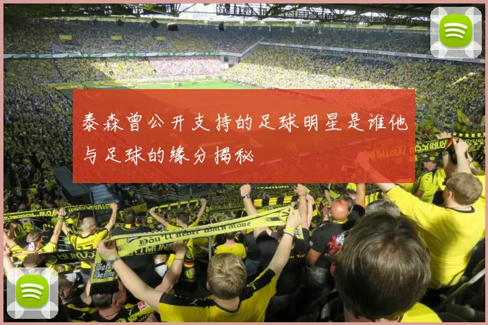 泰森曾公开支持的足球明星是谁他与足球的缘分揭秘