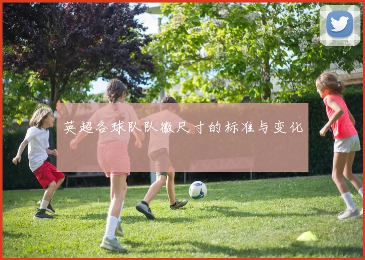 英超各球队队徽尺寸的标准与变化