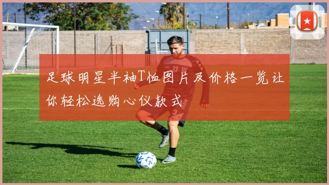 足球明星半袖T恤图片及价格一览让你轻松选购心仪款式