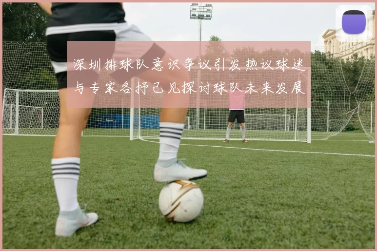 深圳排球队意识争议引发热议球迷与专家各抒己见探讨球队未来发展