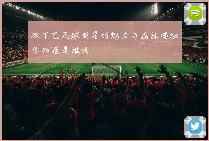 双下巴足球明星的魅力与成就揭秘你知道是谁吗