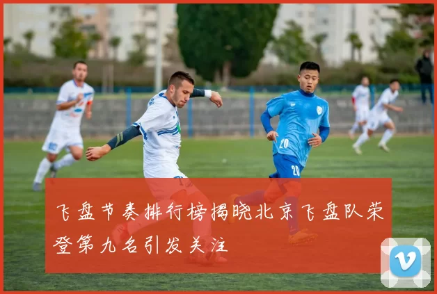 飞盘节奏排行榜揭晓北京飞盘队荣登第九名引发关注