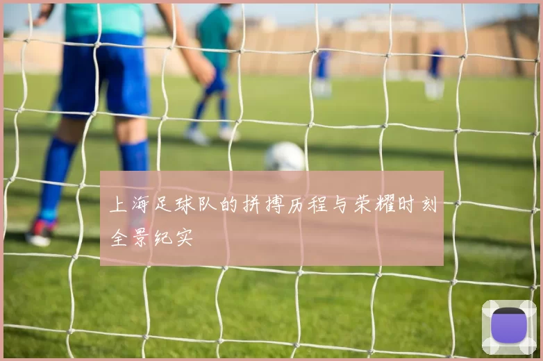 上海足球队的拼搏历程与荣耀时刻全景纪实
