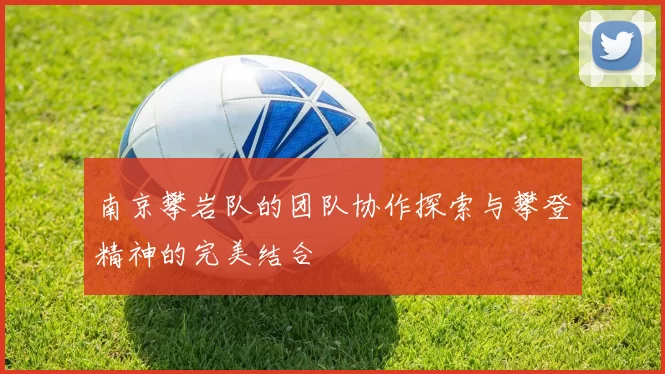 南京攀岩队的团队协作探索与攀登精神的完美结合