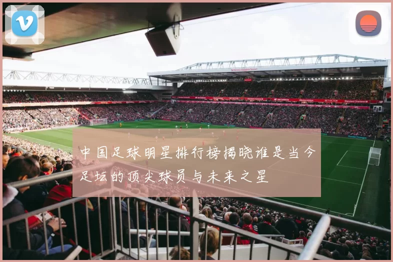 中国足球明星排行榜揭晓谁是当今足坛的顶尖球员与未来之星