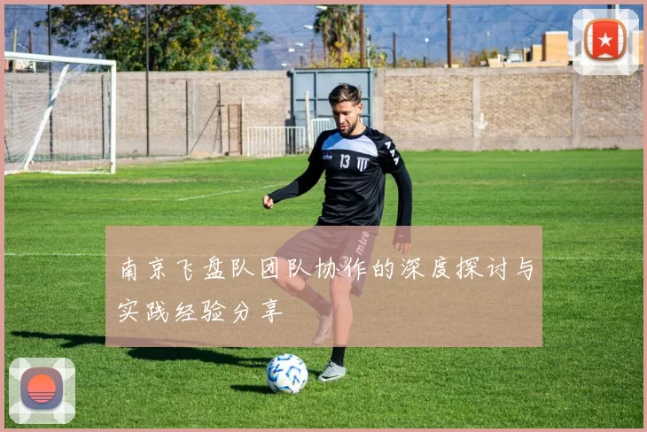 南京飞盘队团队协作的深度探讨与实践经验分享