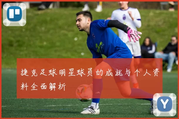 捷克足球明星球员的成就与个人资料全面解析
