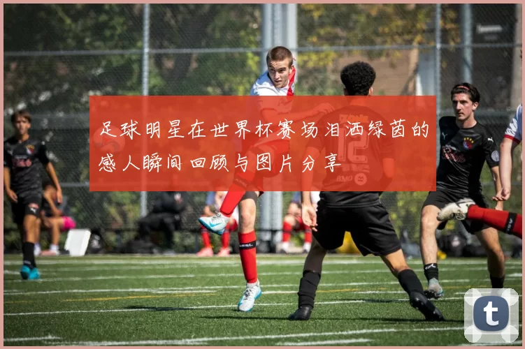 足球明星在世界杯赛场泪洒绿茵的感人瞬间回顾与图片分享