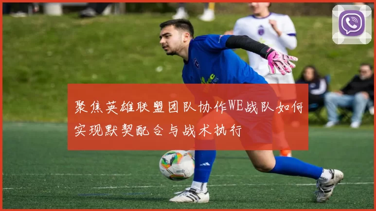 聚焦英雄联盟团队协作WE战队如何实现默契配合与战术执行