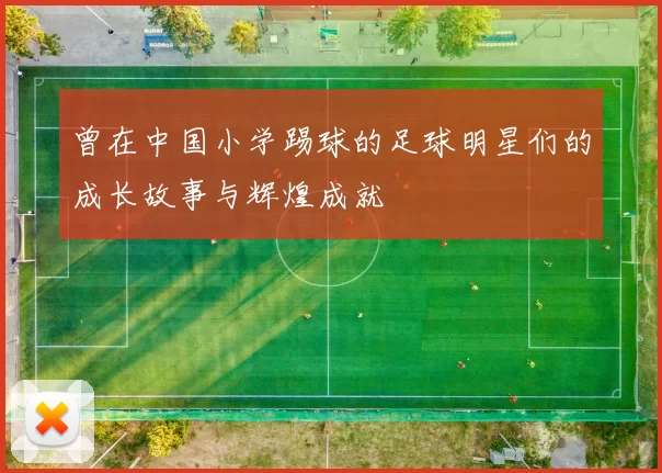 曾在中国小学踢球的足球明星们的成长故事与辉煌成就