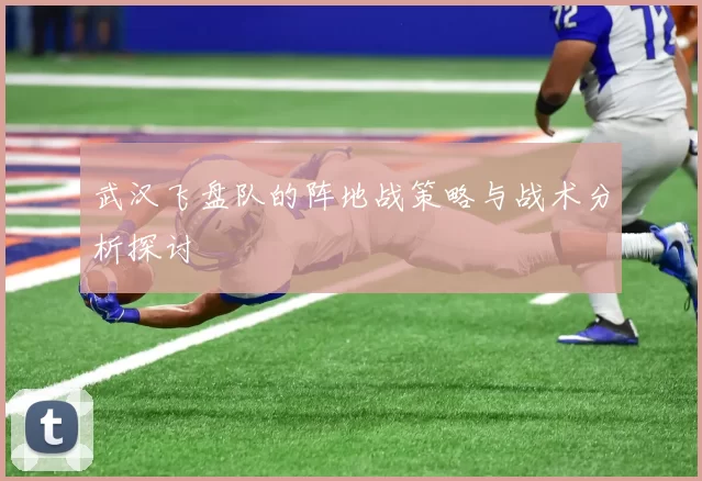 武汉飞盘队的阵地战策略与战术分析探讨