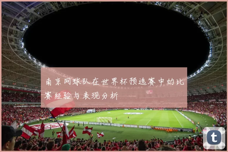 南京网球队在世界杯预选赛中的比赛经验与表现分析