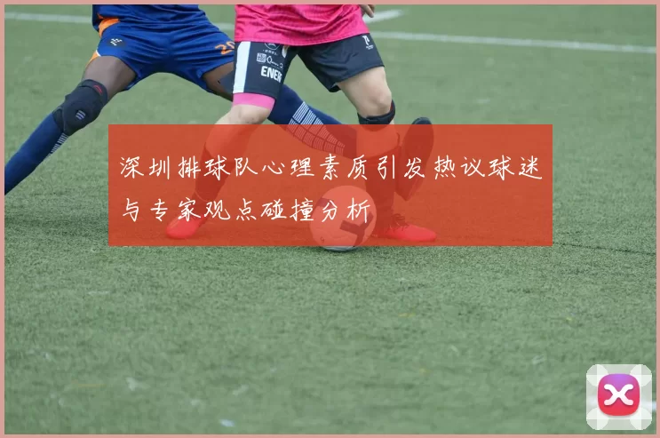 深圳排球队心理素质引发热议球迷与专家观点碰撞分析