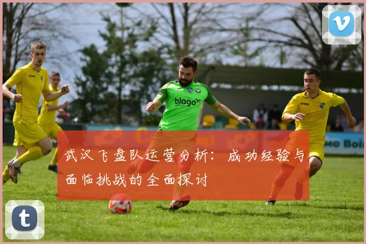 武汉飞盘队运营分析：成功经验与面临挑战的全面探讨